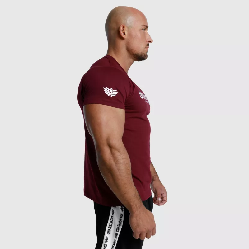 Tricou fitness pentru bărbați Iron Aesthetics Unbroken, vișiniu-6