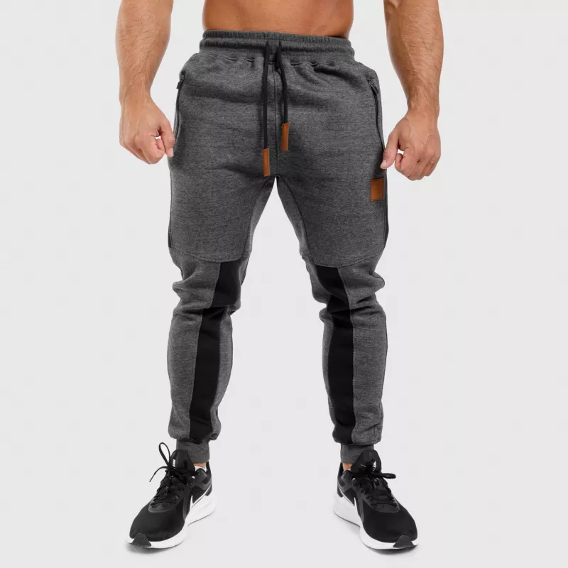 Pantaloni de trening Jogger Iron Aesthetics Element, gri-2
