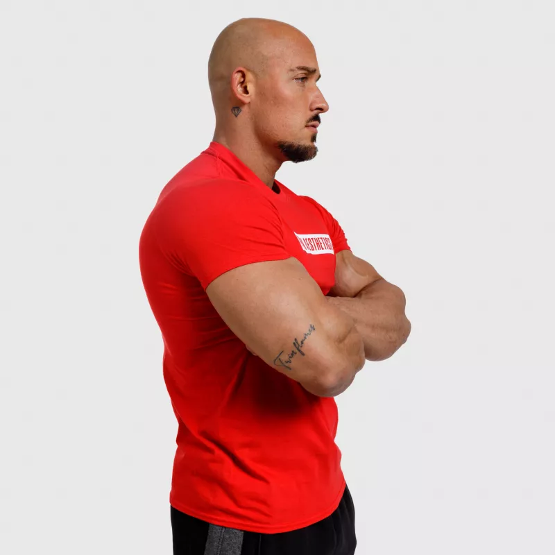 Tricou fitness pentru bărbați Iron Aesthetics Boxed, roșu-5