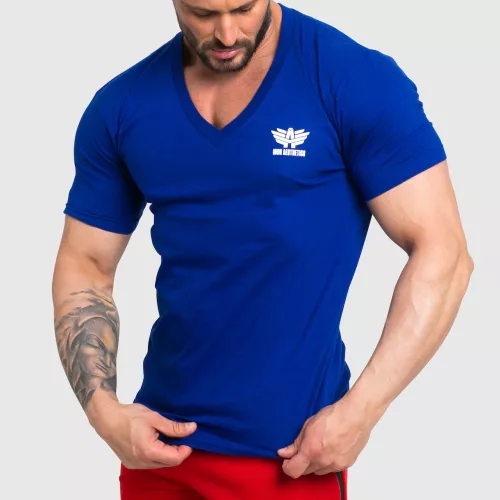 Tricou fitness pentru bărbați Iron Aesthetics Original V, albastru