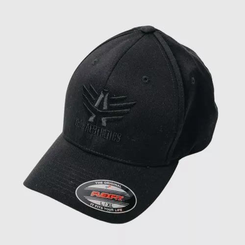 Șapcă pentru bărbați Iron Aesthetics FlexFit, black on black