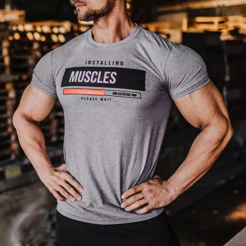 Tricou fitness pentru bărbați Iron Aesthetics Installing Muscles, gri