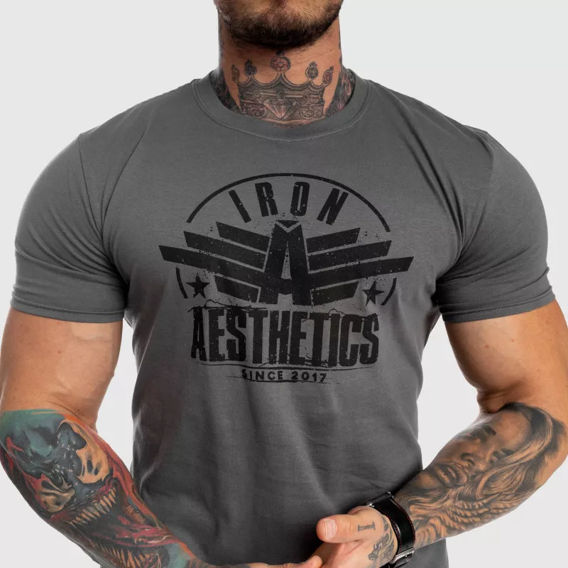 Tricou fitness pentru bărbați Iron Aesthetics Force, gri-4
